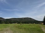 IMG 4831