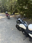 IMG 4841