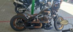 IMG 4947