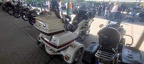 IMG 4953