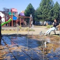 IMG 4964