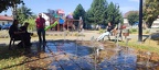 IMG 4964