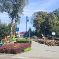 IMG 4966