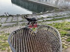 IMG 7445