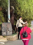 IMG 7447