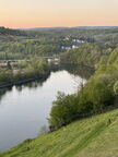 IMG 7450