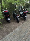 IMG 7453