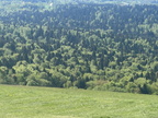 IMG 7459