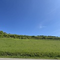 IMG 7467