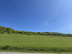 IMG 7467
