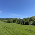 IMG 7468