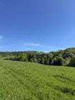 IMG 7468