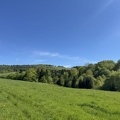 IMG 7470