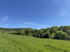 IMG 7470