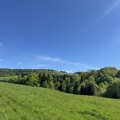 IMG 7469