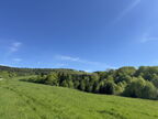 IMG 7469