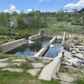 IMG 7472